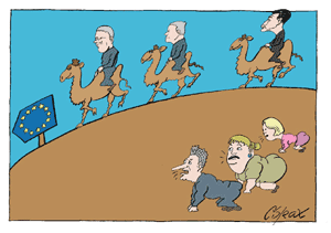 Corax 11