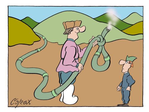 Corax 14