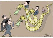 Corax 14