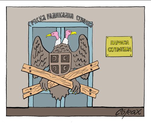 Corax 9