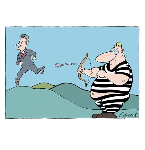 Corax 6