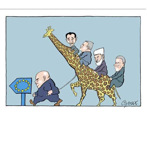 Corax 14