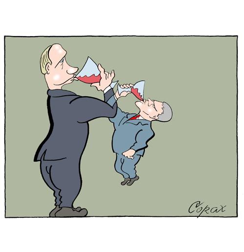 Corax 8