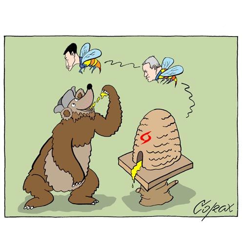 Corax 7