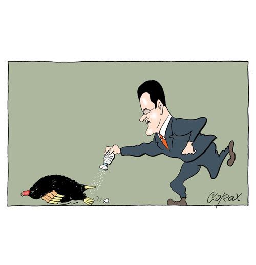 Corax 3