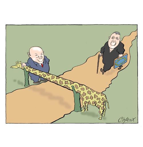 Corax 14