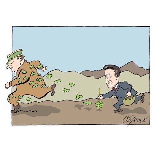 Corax 9