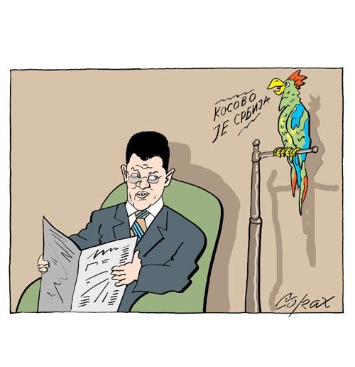 Corax 8