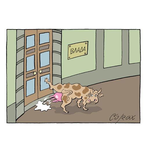 Corax 7