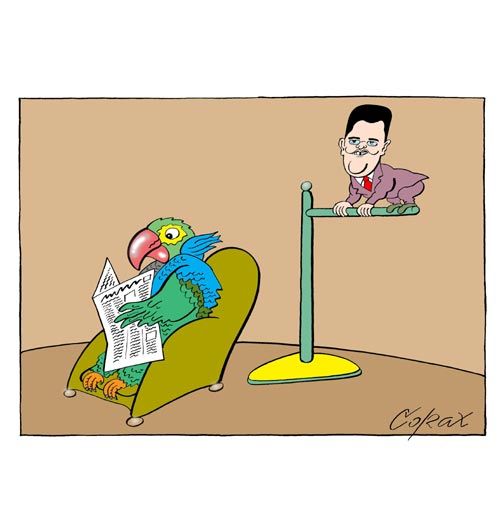 Corax 10