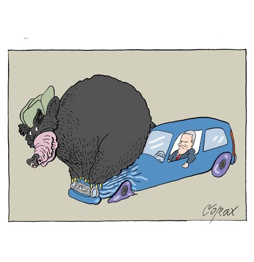 Corax 12