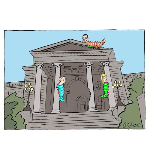 Corax 7