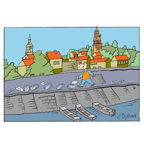Corax 6