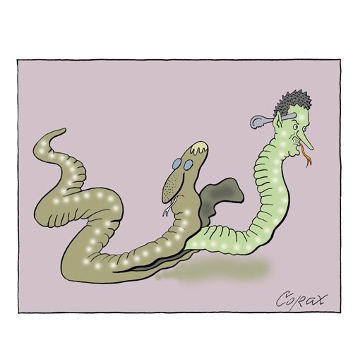 Corax 5