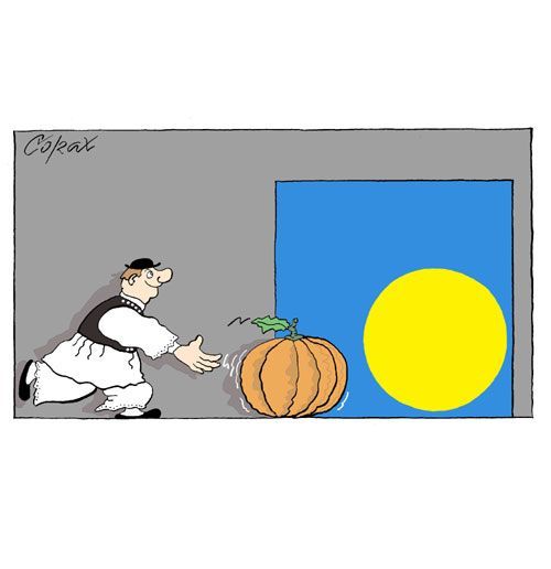 Corax 6