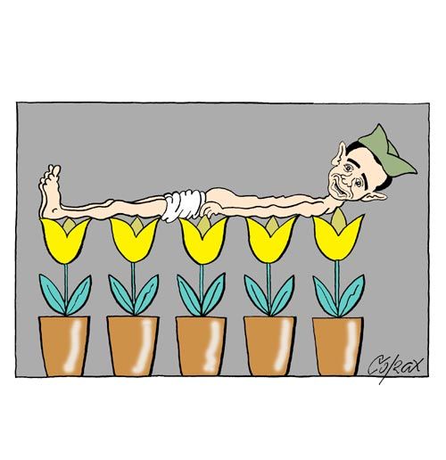 Corax 3