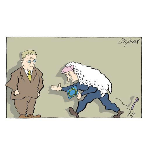 Corax 12