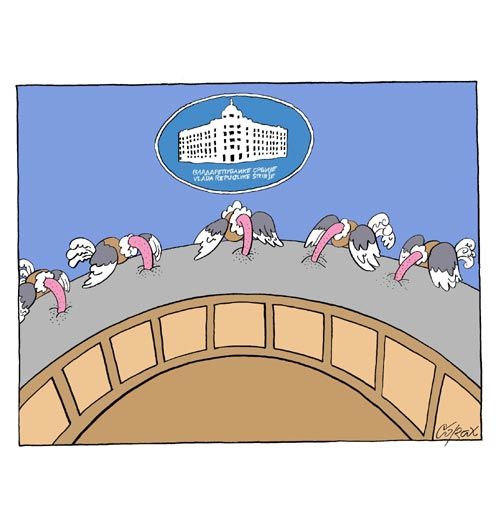 Corax 8