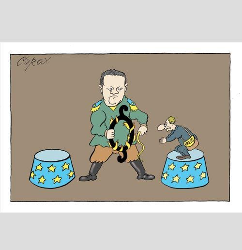 Corax 7