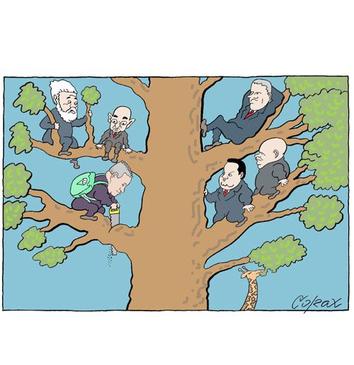 Corax 3