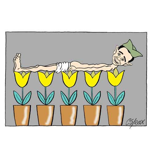 Corax 10