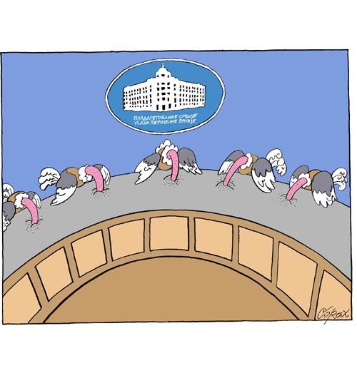 Corax 15