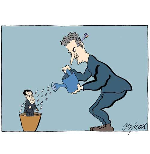 Corax 7