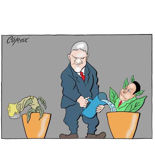 Corax 12