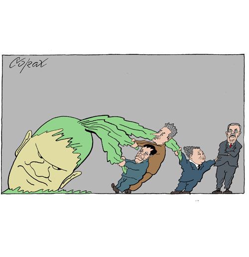 Corax 14
