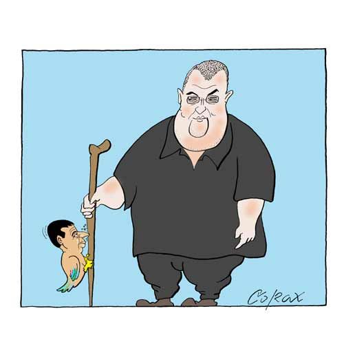 Corax 8