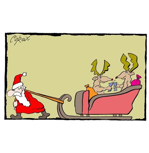 Corax 14