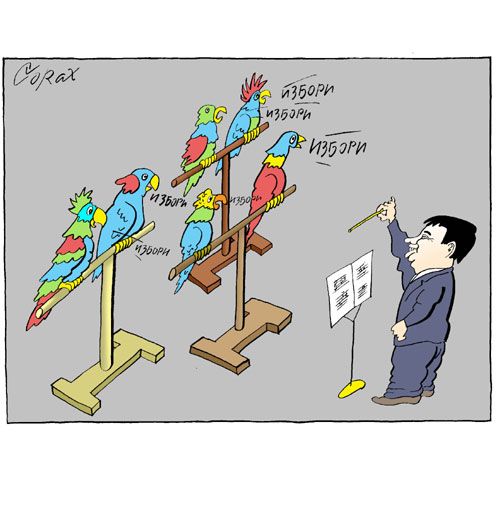 Corax 8