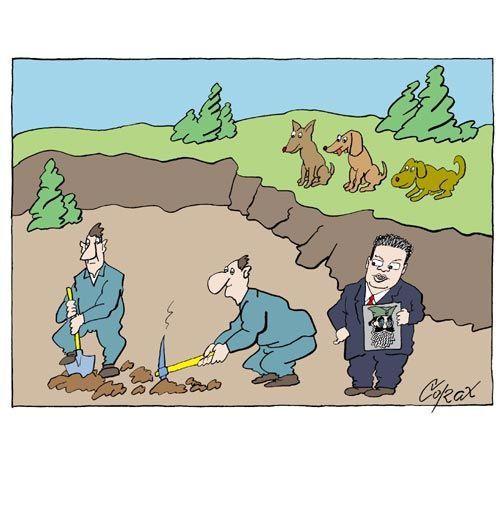 Corax 7
