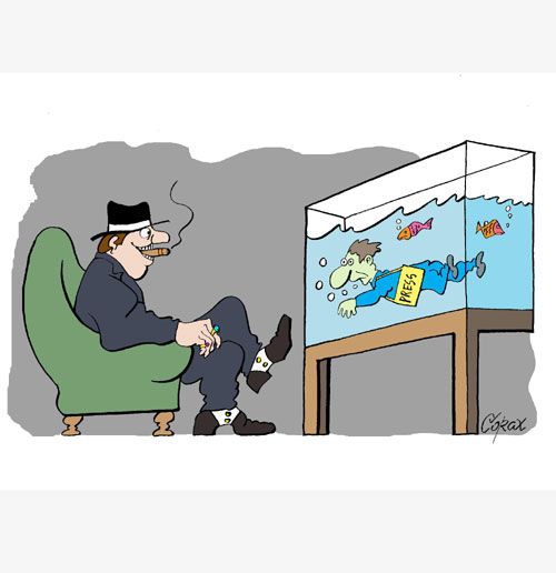 Corax 14