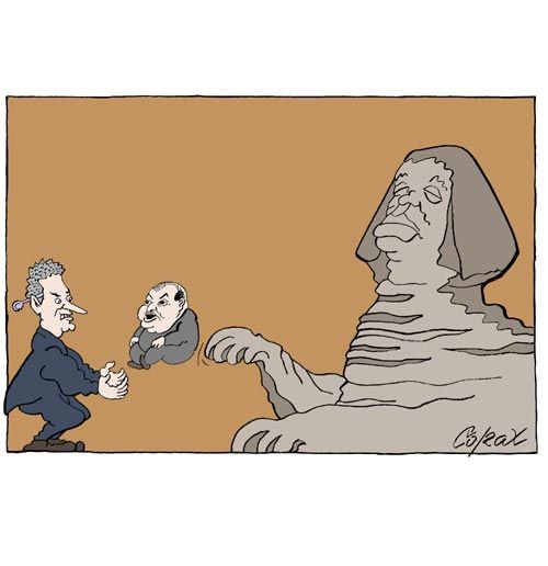 Corax 8