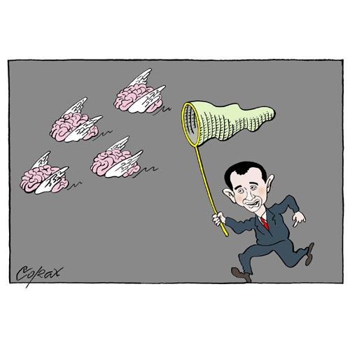 Corax 8