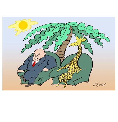 Corax 11