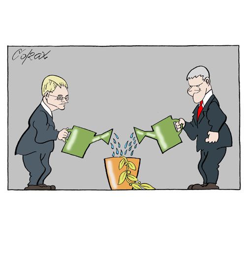 Corax 7