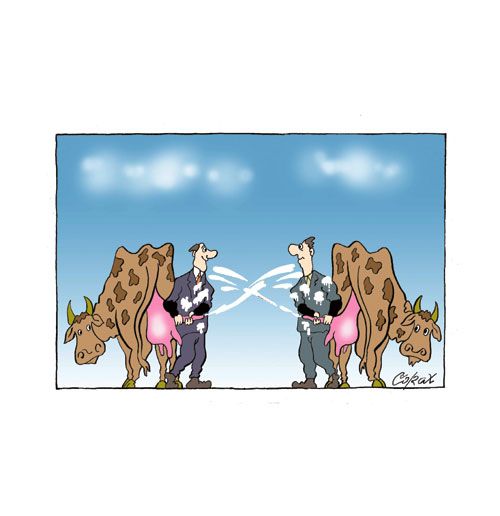 Corax 4