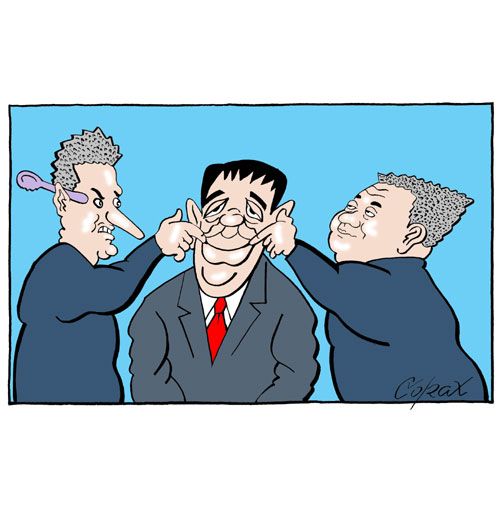 Corax 6