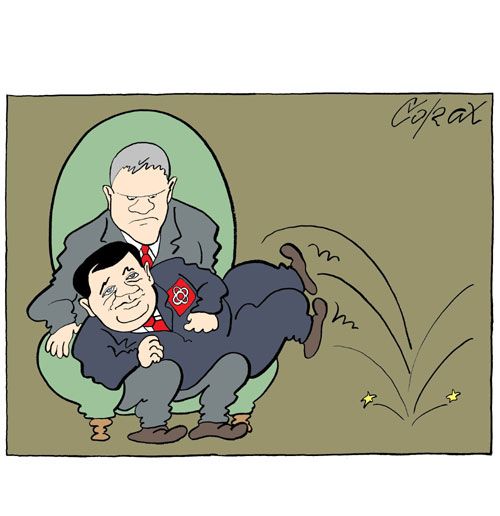 Corax 6