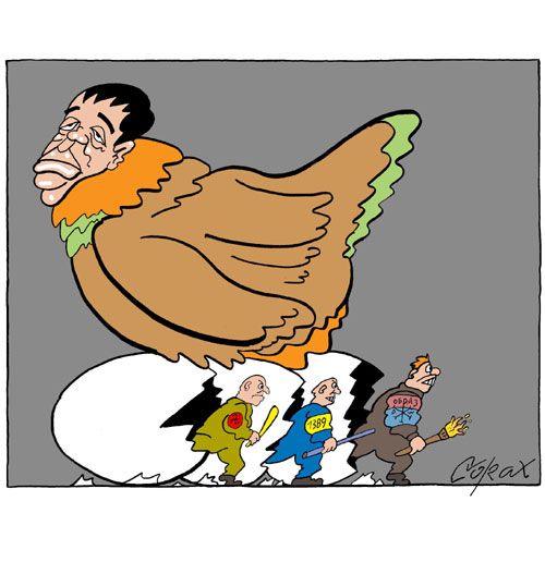 Corax 6