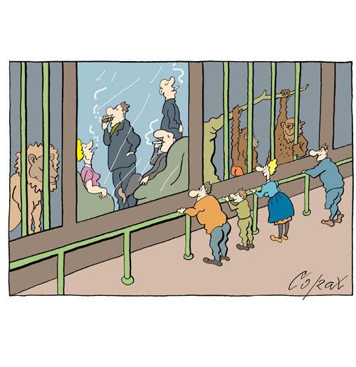 Corax 14