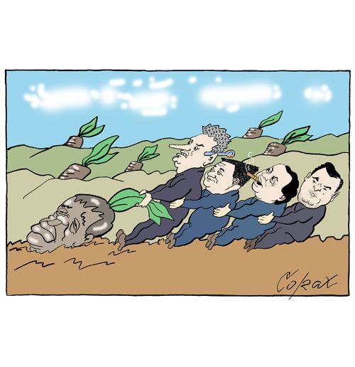 Corax 10