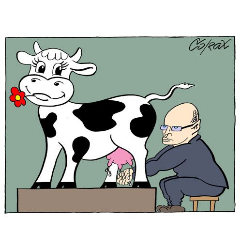 Corax 7
