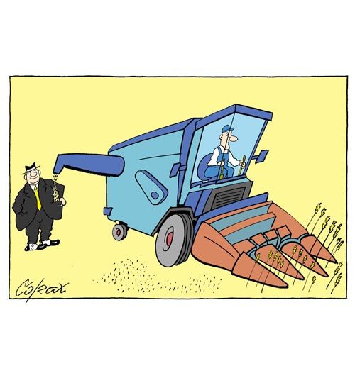 Corax 5