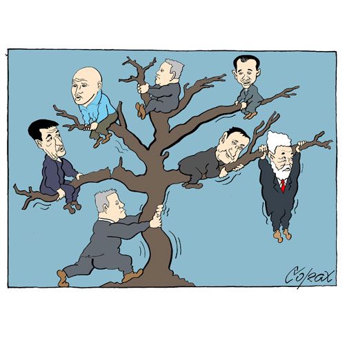 Corax 12