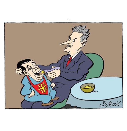 Corax 7