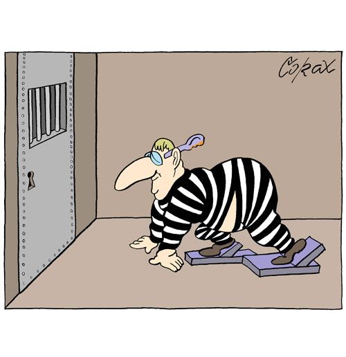 Corax 12