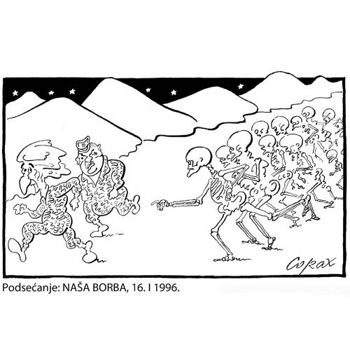 Corax 8